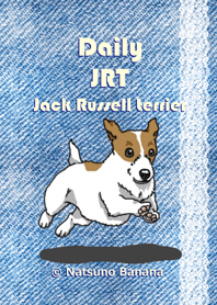 Daily JRT( Jack Russell terrier)