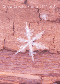 Snow Crystal Photo #17-14Not AI