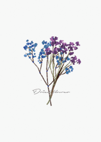 グレー : Dried Flower
