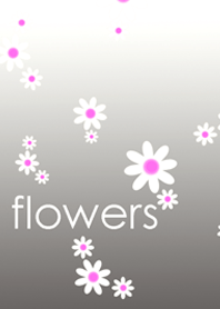 白とピンクのお花の着せかえ