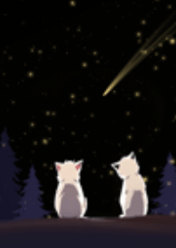 ค่ำคืนนี้กับฉัน