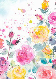 Beautiful rose flower(R4493)