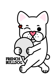 White French Bulldog