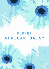 FLOWER AFRICAN DAISY!