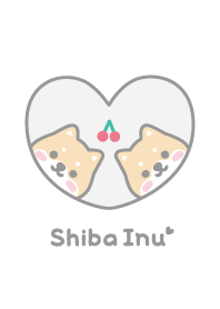 柴犬 櫻桃 [白色]