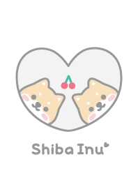 Shiba Inu Cherry [White]