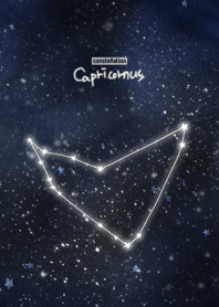 constellation_12_capricornus