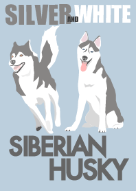 SIBERIAN HUSKY -SILVER AND WHITE-