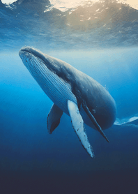 Fantasy tale of the sea20