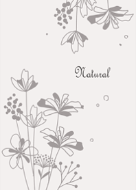 Natural flowers bloom3.