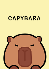 misty cat-Capybara
