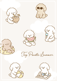 Toy Poodle Summer beige02_2