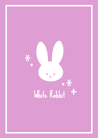 White Rabbit THEME /88