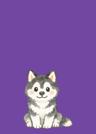 Smiling Siberian Husky1 on purple