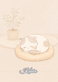 Cozy Lazy Cat: Kaita