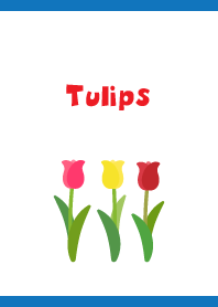 simple tulips on white & blue