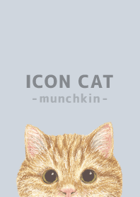 ICON CAT - Munchkin - PASTEL BL/01