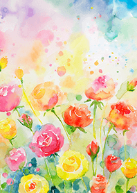 Beautiful rose flower(R3787)