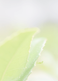 リーフのきせかえ