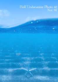 Half Underwater Photo49 Not AI