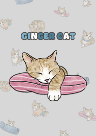 gingercat4 / light grey
