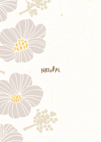 elegant flowers and fruits21 from Japan