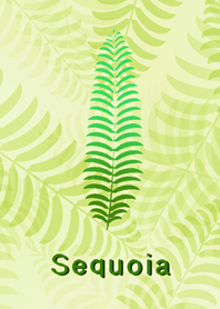 Sequoia