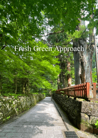 "Fresh green approach vol.2" theme