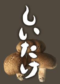 キノコが好きなあなたに「しいたけ」実写版