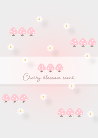 Cherry blossom scent 01_2