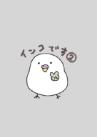 inkodesu(albino)2