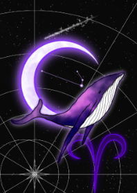 Whale and Aries -Purple- JPN