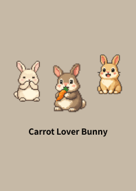 像素兔：狂熱紅蘿蔔_008