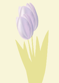 The Graceful Tulip-3