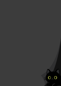 corner black cat_black1
