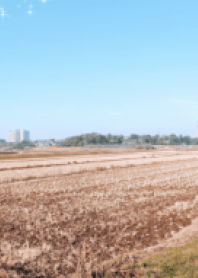 治愈鄉村