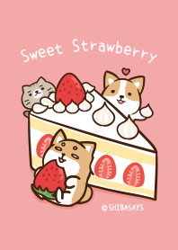 柴語錄02-甜蜜草莓