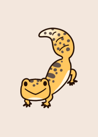 ゆるかわいいヒョウモントカゲモドキ