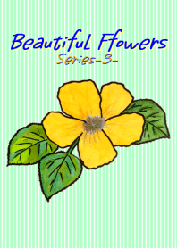 Beautiful flowers-3-