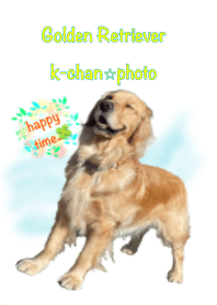 ゴールデンRのKちゃん☆Photo♪happy time