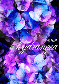 紫陽花×水彩