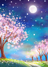 Beautiful night cherry blossoms#1101