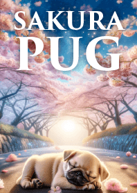 春と桜とパグ