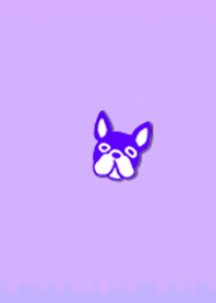 Simple bulldog 9