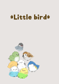 *Little bird*
