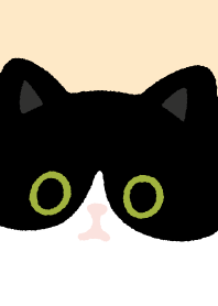 Tuxedo cat and Black cat/7
