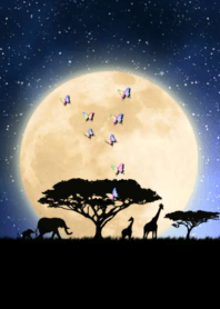 Fortune up RainbowButterfly & Fullmoon