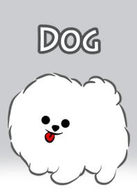 Momo White Puppy