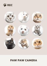 Paw Paw Camera -  Brown 05