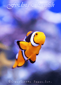 ファインディング・クラウンフィッシュ